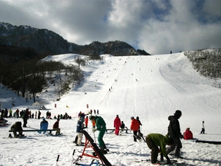 氷ノ山国際スキー場